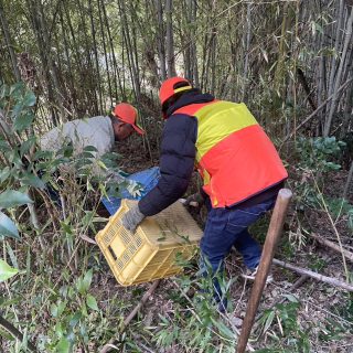 🌈店長、狐🦊を捕まえ、リリースする💨

コースを荒らすイノシシ🐗を捕まえるため、店長は猟師（いなべ猟友会所属）になり、レインボーで罠を仕掛けています